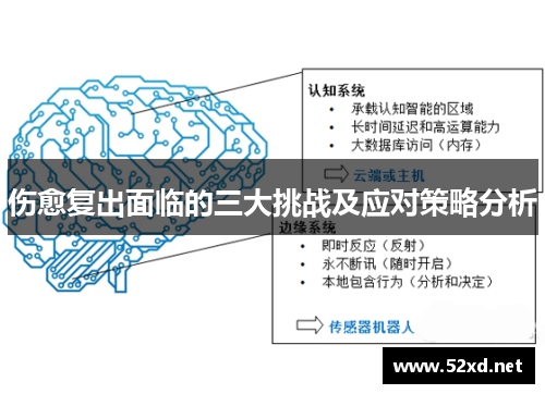 伤愈复出面临的三大挑战及应对策略分析