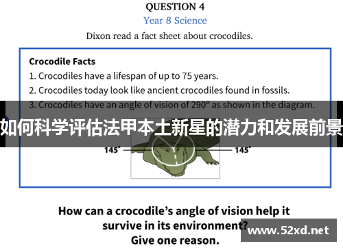 如何科学评估法甲本土新星的潜力和发展前景